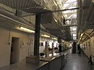 Dickens Hill cells