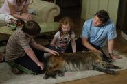 Wellard Dies (15 August 2008)