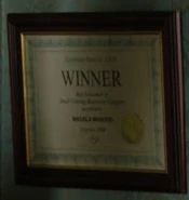 Masala Masood Award hung at 41 Albert Square