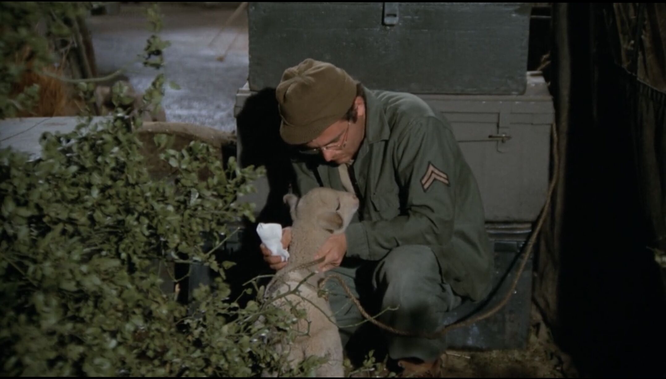 Private Charles Lamb.jpg