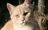 Avatar de Wilie Endal