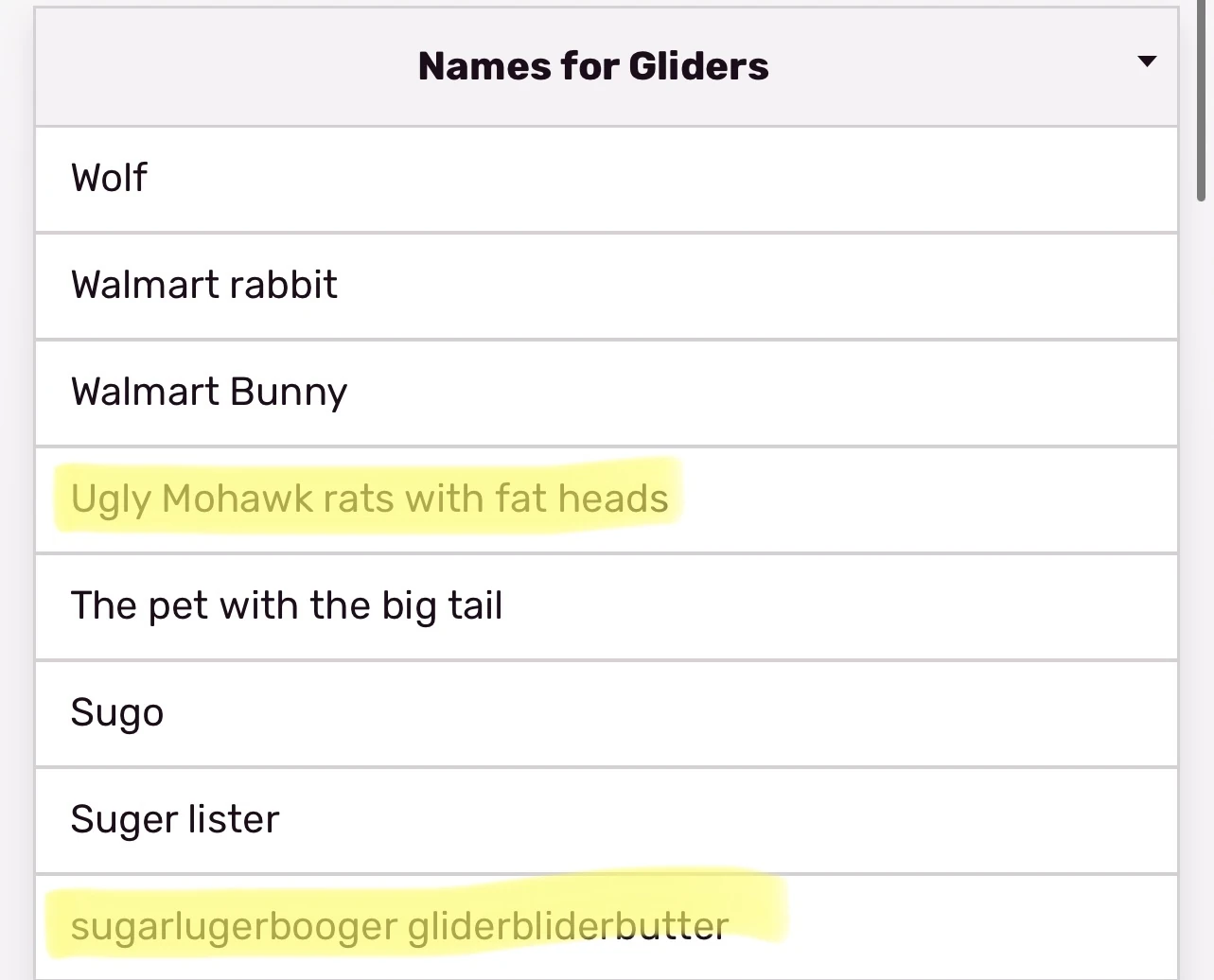 the names in the glider dictionary are great Fandom