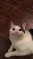 29tjl01's avatar