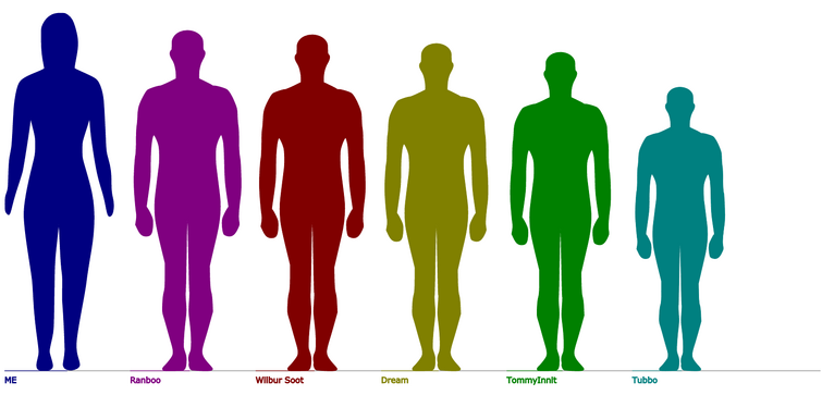 Tommyinnit Ranboo and Tubbo Height Comparison 