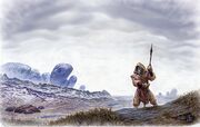 TashanaTundra