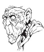A portrait of Zurgul.