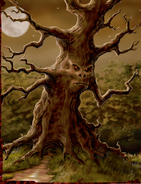 A bronzewood treant within the Mystic Glade.
