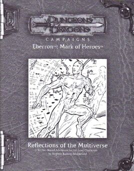 Reflections of the Multiverse