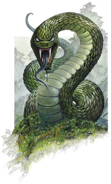 Serpente Cartoon-Green Snake Cartoon-2-Vector Poster