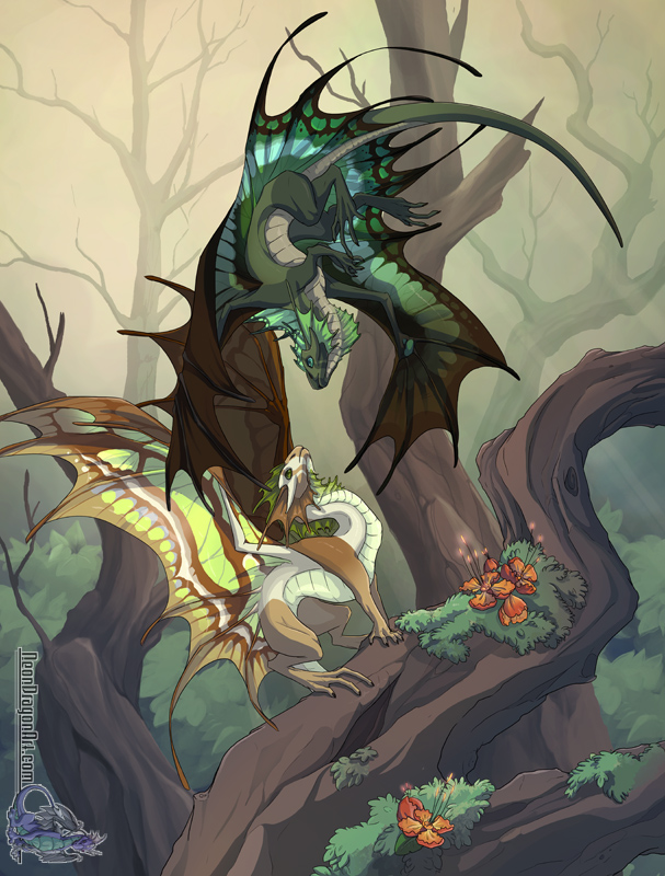 fairies and dragons art