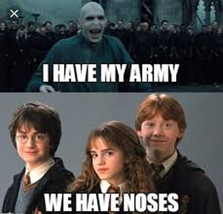 I am really bored so some Voldemort memes