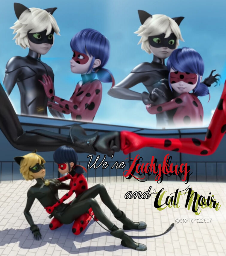 Ladybug and Cat Noir Love Together, Fandom