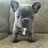 Lshrestha742572's avatar