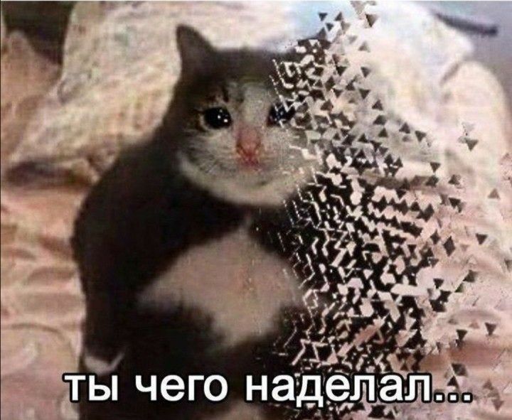 Мем 2025 год с котом бу