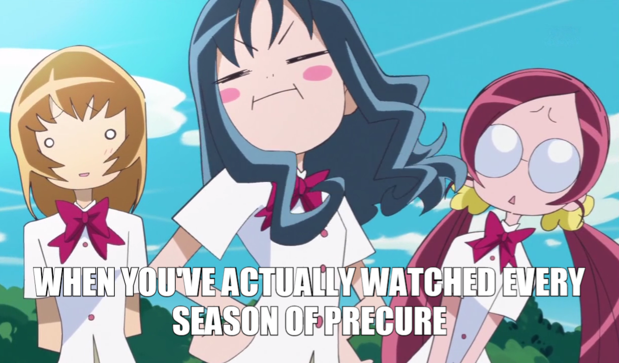 Pretty Cure  Know Your Meme