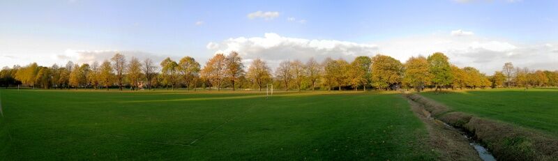 Lime Tree Avenue in Ecclesfield Park.jpg
