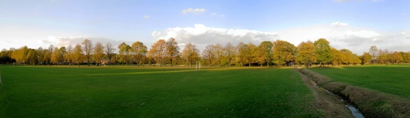 Lime Tree Avenue in Ecclesfield Park