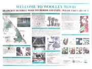 Woolley-wood