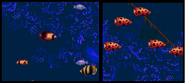 Fish in Ecco: The Tides of Time.