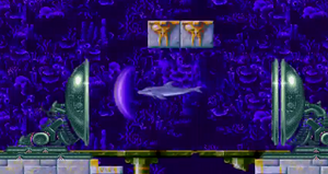 The Time Machine Ecco The Dolphin Wiki Fandom