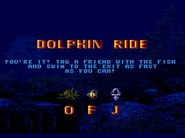 14 - dolphin ride