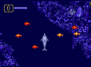 A variety of schooling fish that flashes when hit with sonar in Ecco Junior.