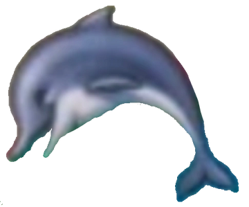 Kitnee Ecco The Dolphin Wiki Fandom