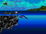 Sea Turtle