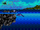 Sea Turtle
