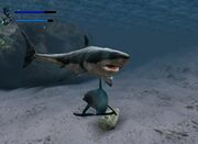 Ecco4-article image