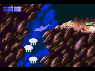 Prehistoric jellyfish.