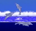 Dolphinkind