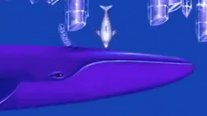 Big | Ecco The Dolphin Wiki | Fandom