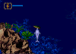 Carrying a turtle shell in Ecco Junior.