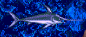 Swordfish