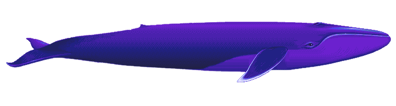 Ecco png images