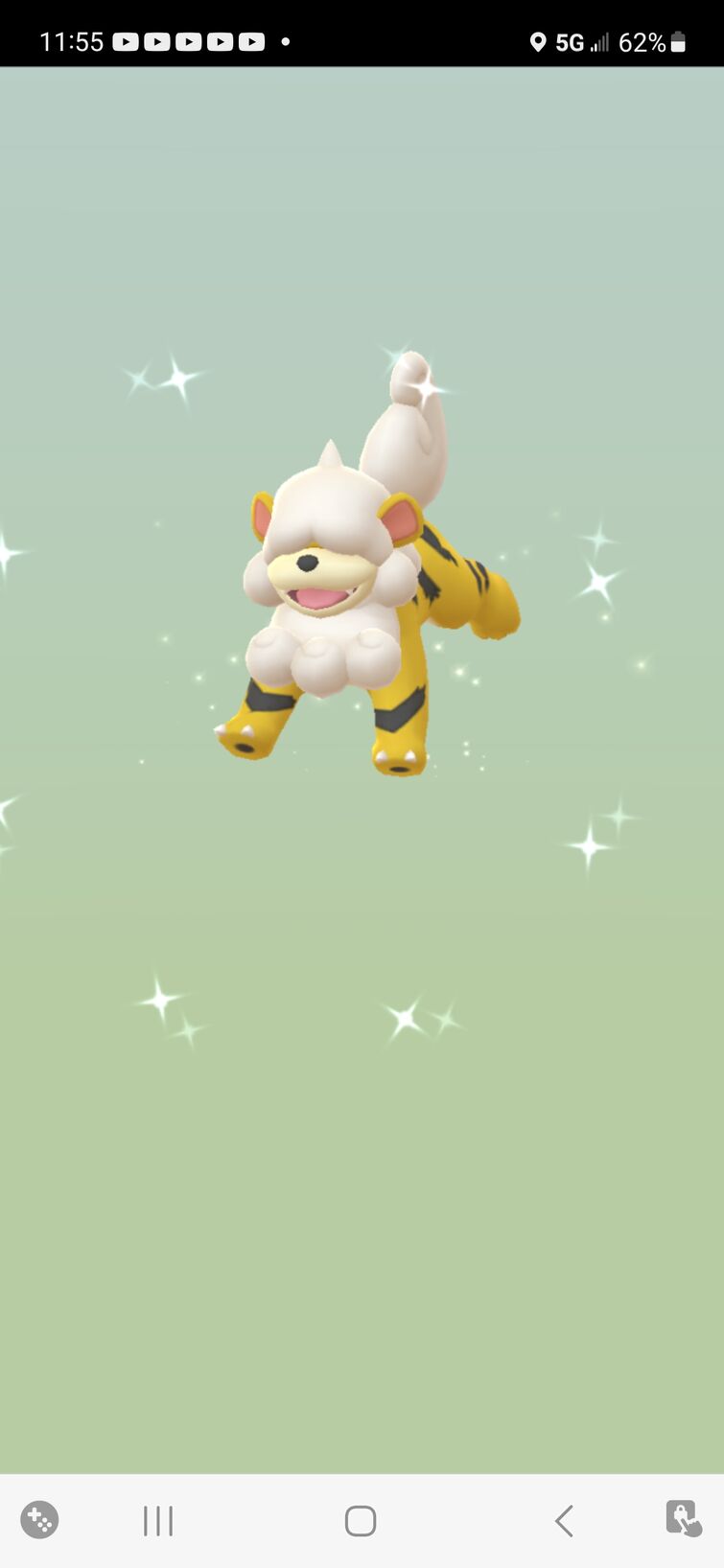 Today I've seen multiple report on wild shiny Arcanine from