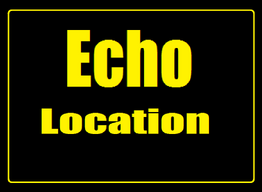 Echo Location Logo