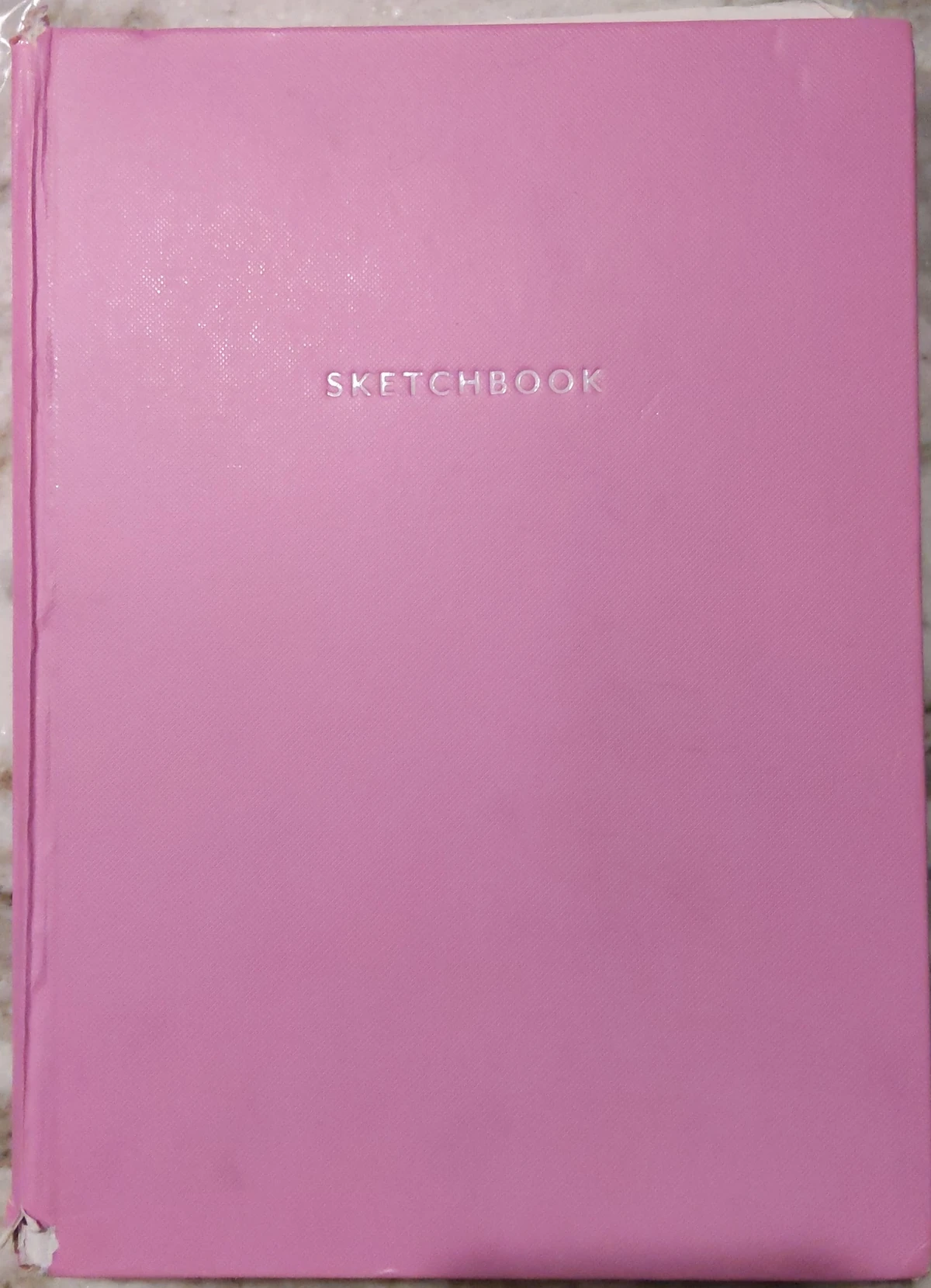Pink Sketchbook Moon and Echo's Wiki Fandom