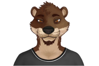 Echo | Echo Project Wiki | Fandom