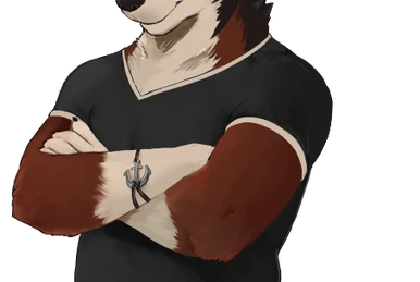 Echo | Echo Project Wiki | Fandom