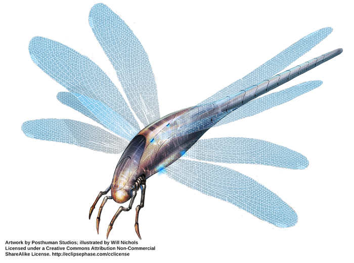 DragonflyMorph WillNichols