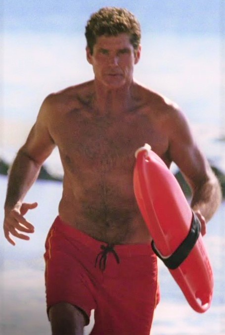 David Hasselhoff | Ed, Edd n Eddy: The Ultimate Ed-Chronicles Wikia