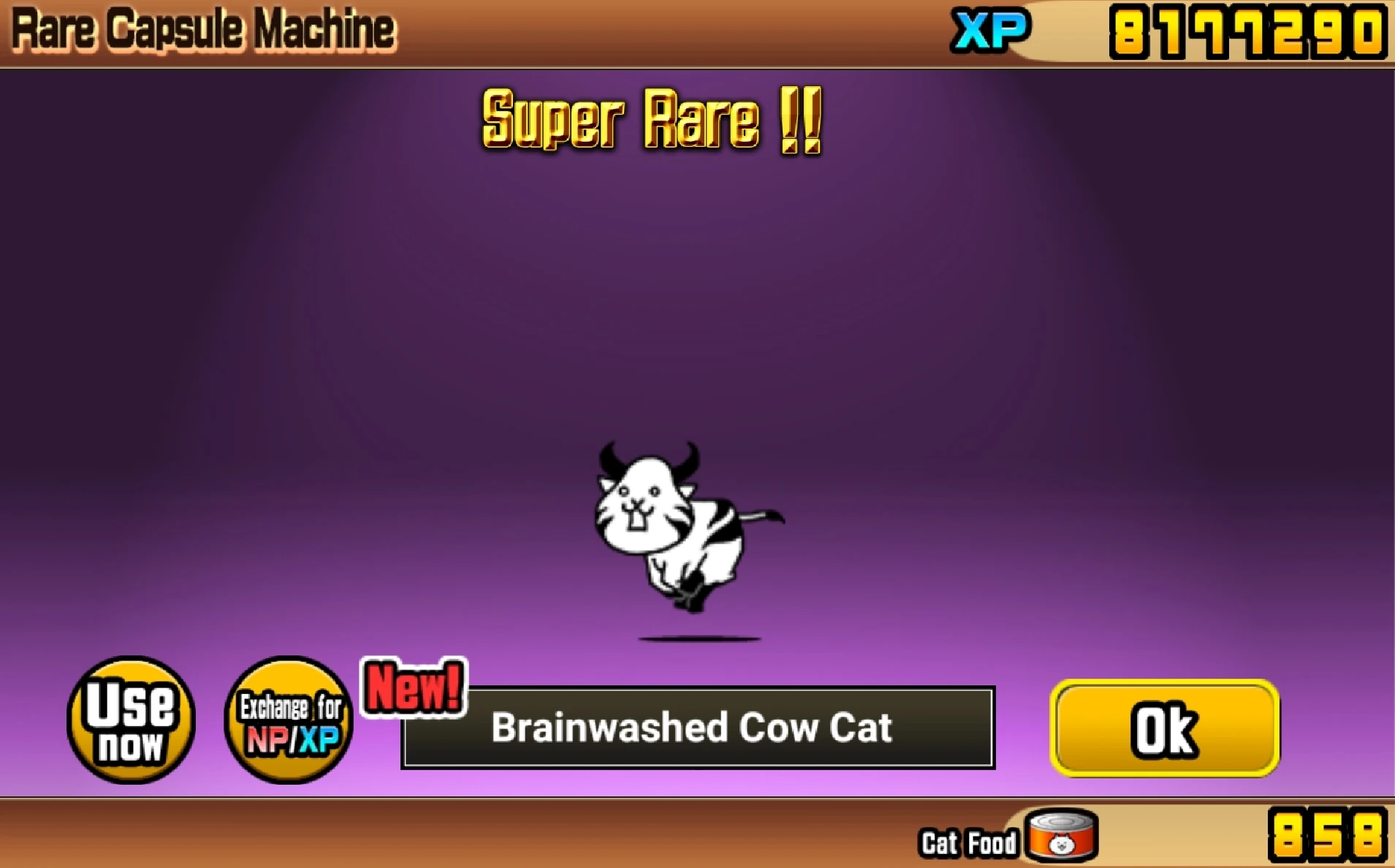 BAD CAT LET'S GOOOO Fandom