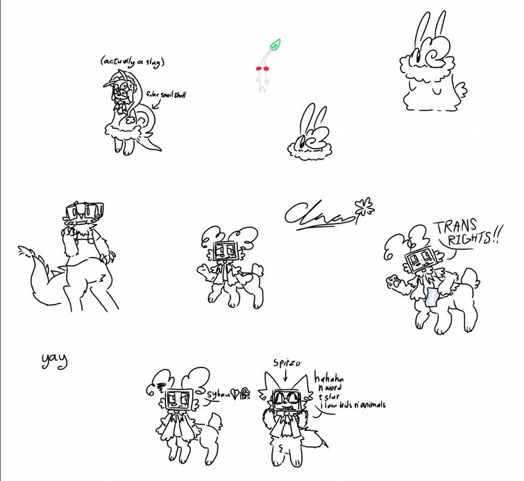 Fandom Image