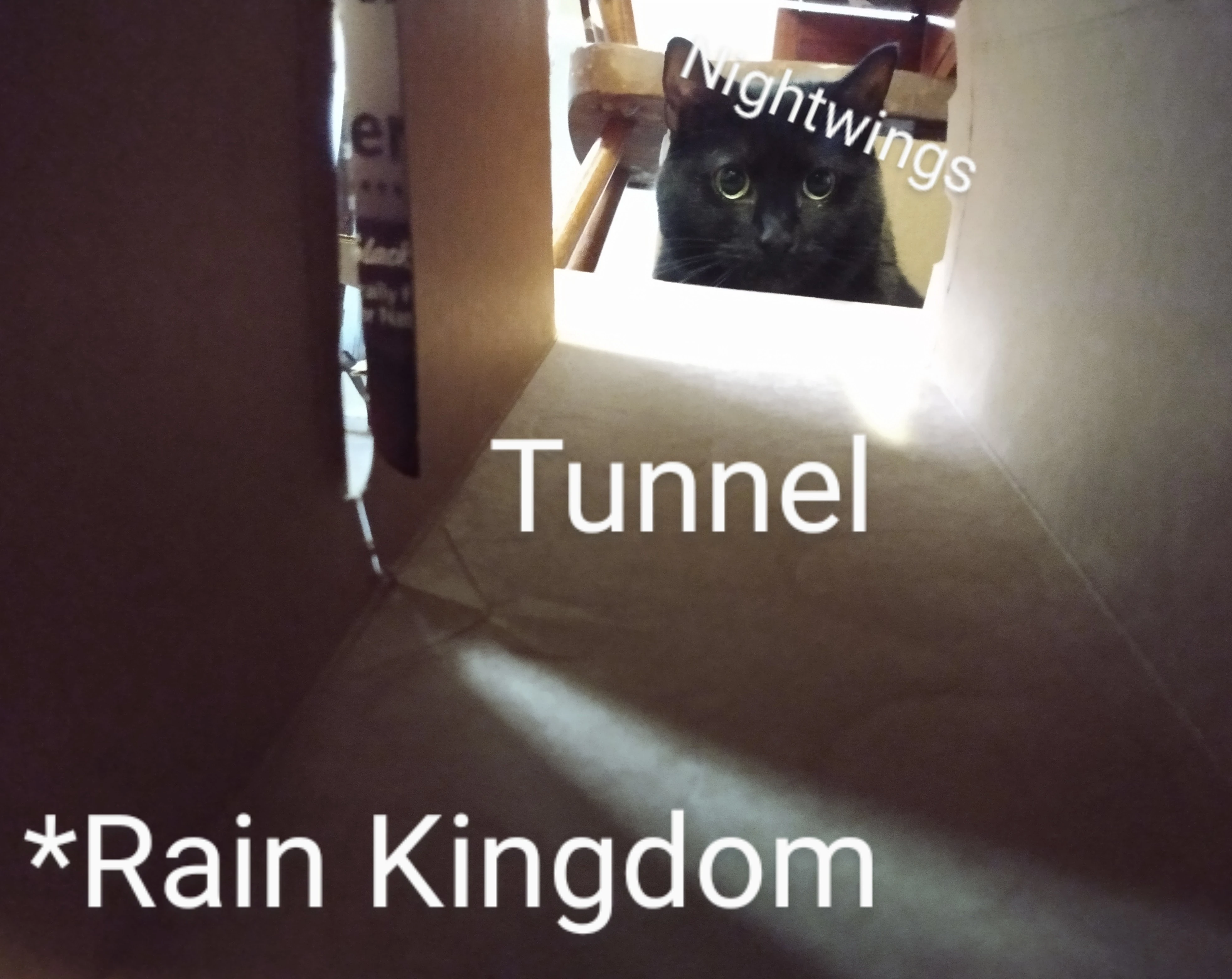 Smol meme | Fandom