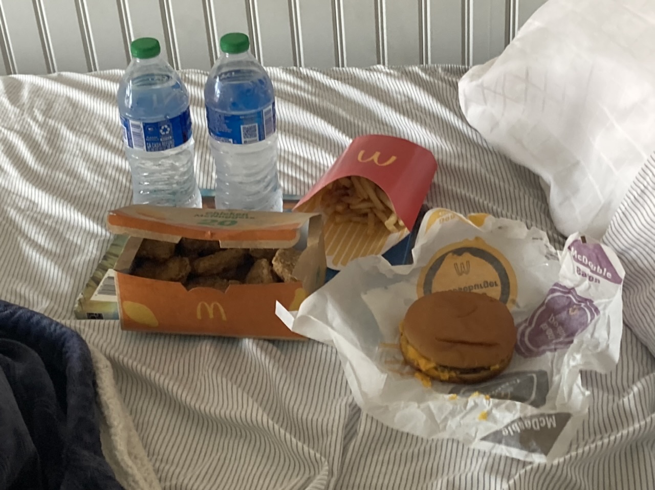 what-did-you-have-for-lunch-today-fandom
