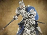 Knights of Dol Amroth