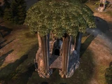 Mirkwood Outpost