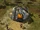 Goblin Lair